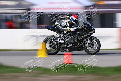 media/Feb-13-2022-CRA (Sun) [[c08943dfb2]]/Race 8/Speed Shots/